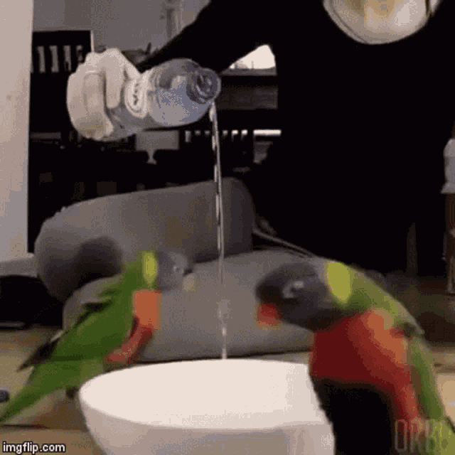 Pouring Water Water Bottle GIF - Pouring Water Water Bottle Cult GIFs
