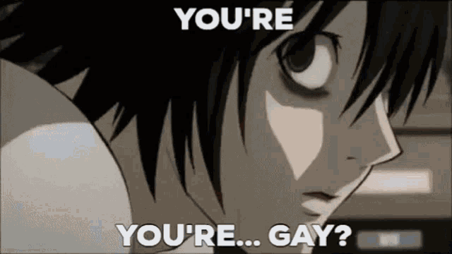 Gay Are You Gay GIF