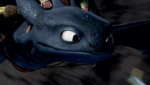 toothless from how to train your dragon is riding a dragon