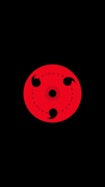 a red circle with a black center and a black circle around it