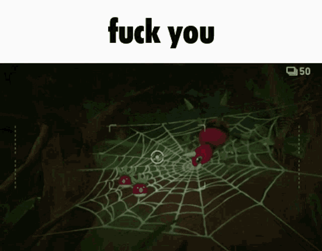 a picture of a spider web with the words " fuck you " on the bottom