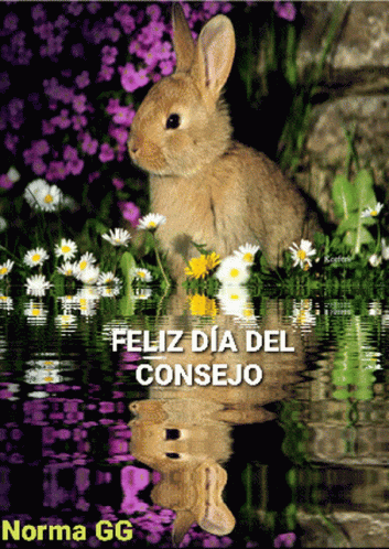 Conejo Pascua GIF - Conejo Pascua Feliz Dia Del Consejo GIFs
