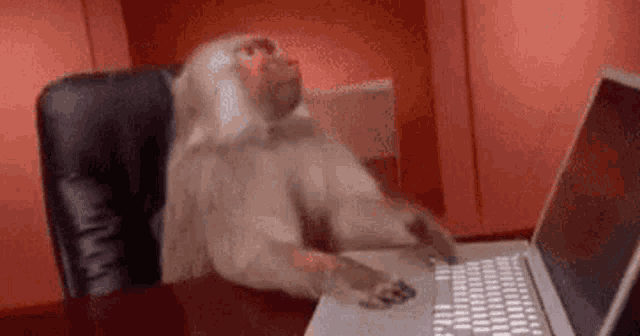 a monkey is sitting in a chair typing on a laptop computer .