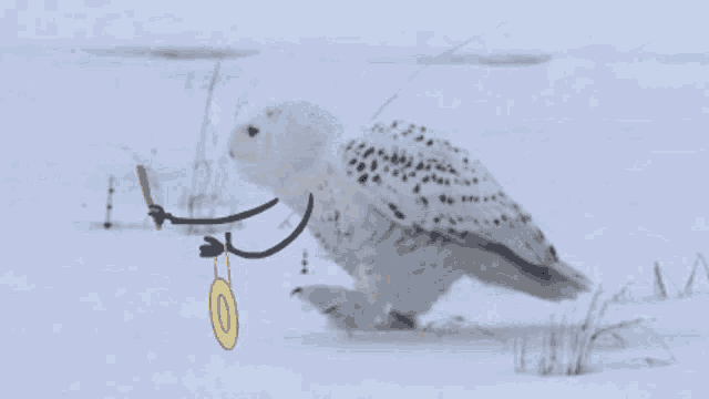 a snowy owl is walking through the snow holding a gong