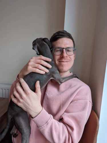 Italiangreyhound Cuddles GIF - Italiangreyhound Cuddles GIFs