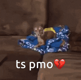 a tiger is sitting on a couch with a broken heart and the words ts pmo above it