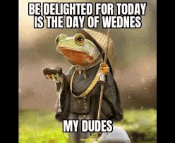 a frog dressed as a monk is holding a cup and a stick .