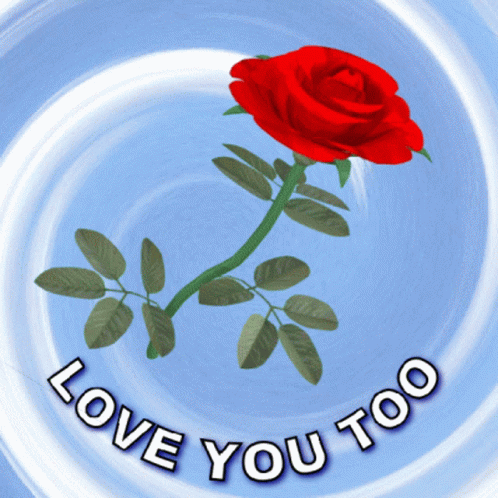 Love You Too Love You More GIF - Love You Too Love You More Red Rose GIFs