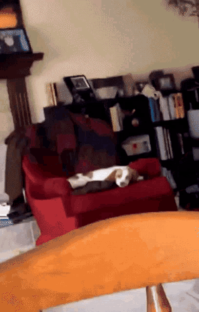 a cat is laying on a red chair in a living room