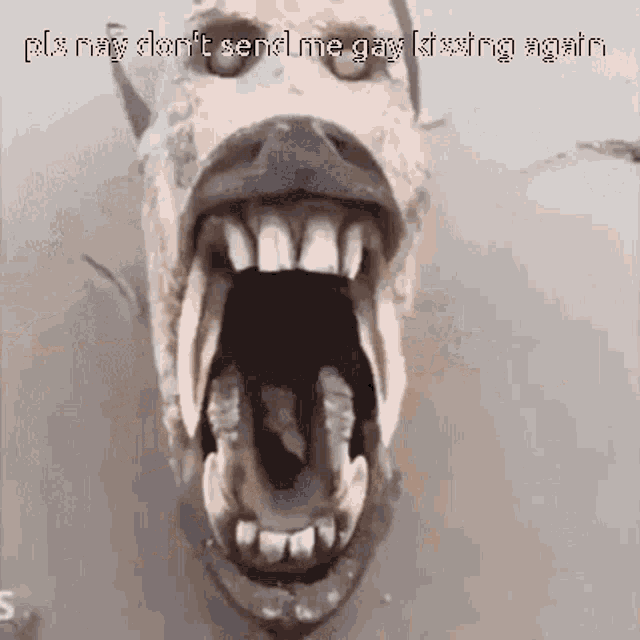 a close up of a horse 's mouth with the words " pls ray don 't send me gay kissing again " written below it