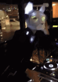 a blurred image of a person wearing a white bunny mask