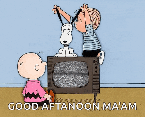 a cartoon of snoopy charlie brown and linus looking at a tv with the words good aftanoon ma am below them