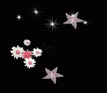 Stars Flowers GIF - Stars Flowers Spin GIFs