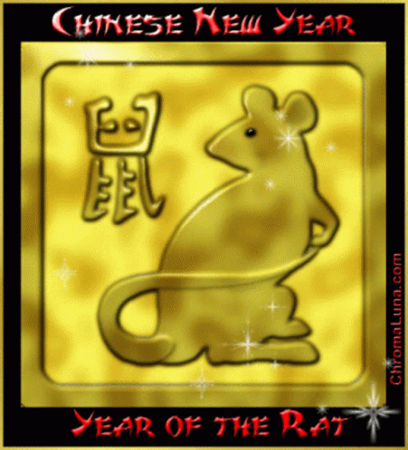 Rat Mouse GIF - Rat Mouse Mini GIFs