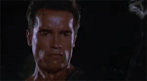 I Lied Arnold Schwarzenegger GIF - I Lied Arnold Schwarzenegger Drop GIFs