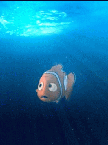Finding Nemo Clownfish GIF - Finding Nemo Clownfish GIFs