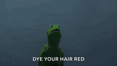 kermit the frog and grim reaper are standing next to each other and talking .