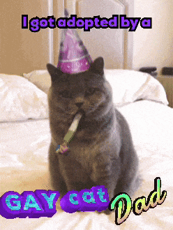 a cat wearing a party hat is sitting on a bed next to a sign that says gay cat dad
