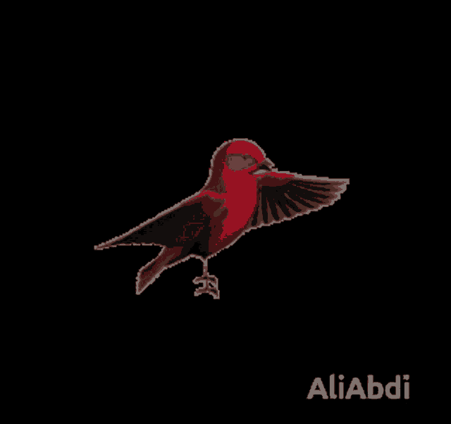 a red and brown bird is flying on a black background with the name aliabdi at the bottom