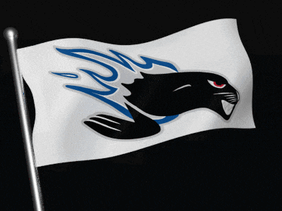a flag with a black panther on it