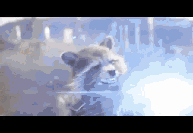 Rocket Raccoon GIF - Rocket Raccoon Bucky Barnes GIFs