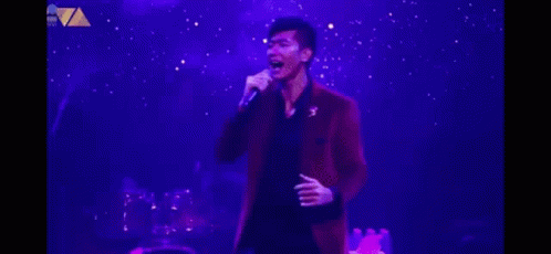 Ronnieliang Concert GIF - Ronnieliang Concert Bts GIFs