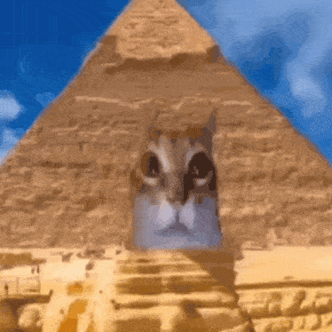 Pharaoh Pharaoh Cat GIF - Pharaoh Pharaoh Cat Desert GIFs