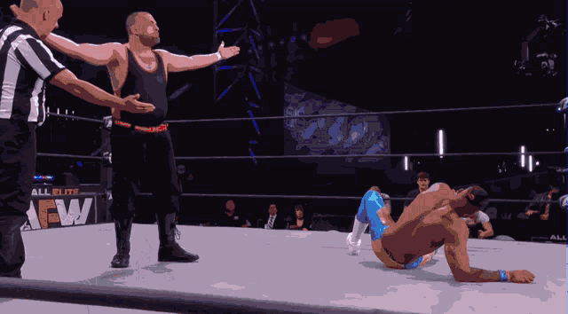 a wrestler in a ring with a sign that says all elite ew