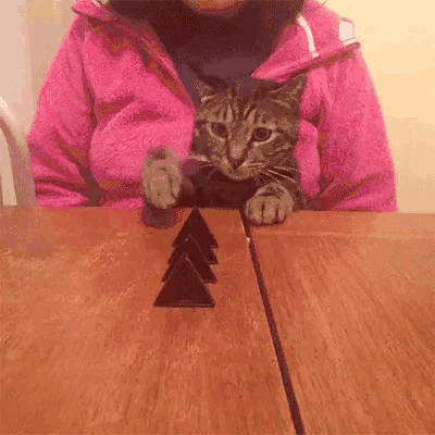 a cat is sitting on top of a wooden table .