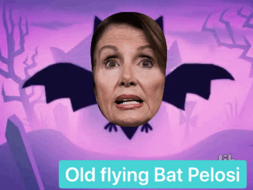 Old Lady Flying Bath GIF - Old Lady Flying Bath Nancy Pelosi GIFs