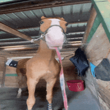 a horse in a stable with a pink leash and a bag that says ' saddle ' on it