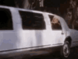 a white limousine is parked on the side of the road with a person standing in the window .