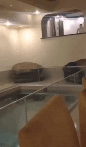a swimming pool in a basement with a glass railing and a couch .