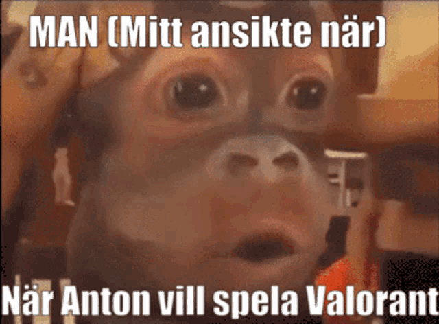 Anton Valorant GIF - Anton Valorant Amouranth GIFs