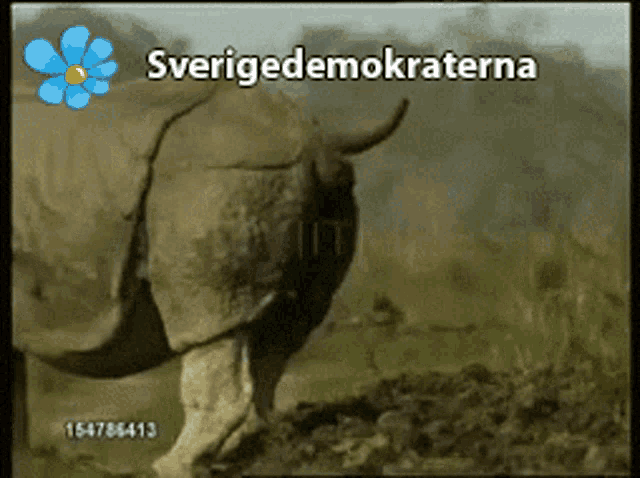 a video of a rhino with a blue flower and the words sverigedemokraterna