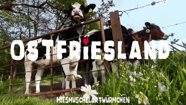 Ostfriesland Dialekt GIF - Ostfriesland Dialekt Deutsch GIFs
