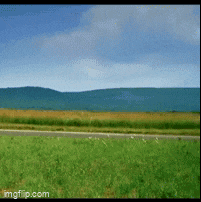 a grassy field with mountains in the background and a road