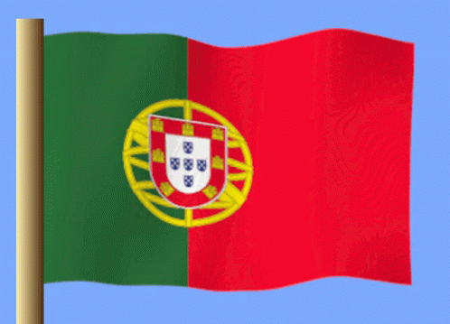 Portekiz GIF - Portekiz GIFs