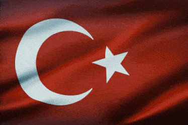 Türkiye Bayrağı Turkish Flag GIF - Türkiye Bayrağı Turkish Flag Madaleine GIFs