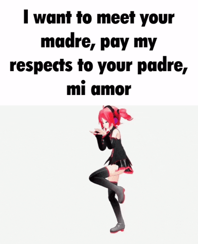a picture of a girl with the words i want to meet your madre pay my respects to your padre mi amor on it