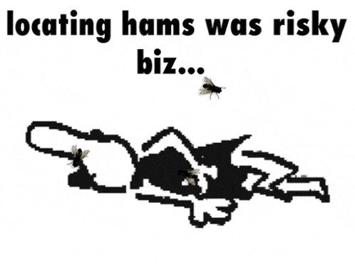 a black and white drawing of a person surrounded by flies with the words `` locating hams was risky biz ... ''