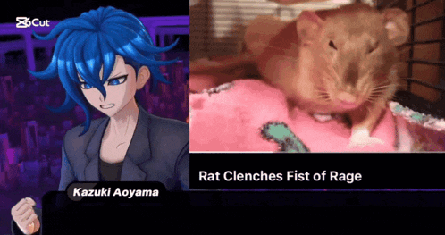 a video game character named kazuki aoyama is next to a picture of a rat in a cage