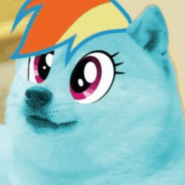 a doge with a rainbow dash hat on it .