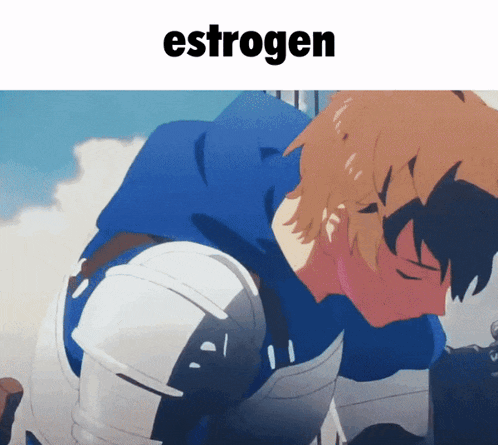 a picture of a knight with the word estrogen below him