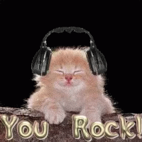 You Rock Cat GIF - You Rock Cat Headphones GIFs