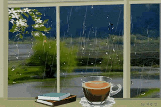 a cup of coffee and a book are on a table in front of a window with rain drops on it