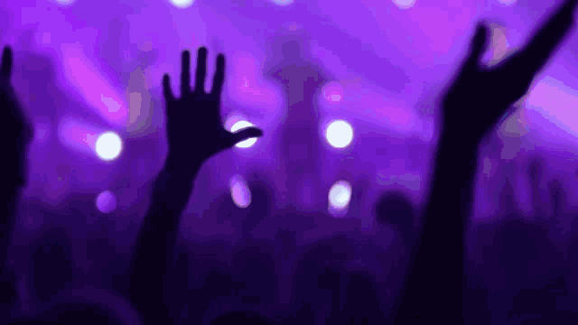 a crowd of people are raising their hands in the air at a concert