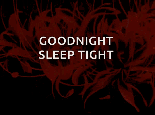 a black background with red flowers and the words goodnight sleep tight on it
