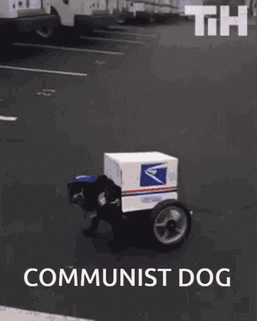 Commie Communist Dog GIF - Commie Communist Dog Ban Mailboxes GIFs