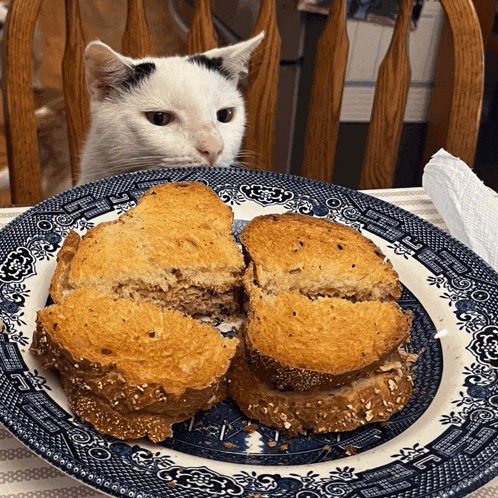 a black and white cat looks at a plate of sandwiches on a table
